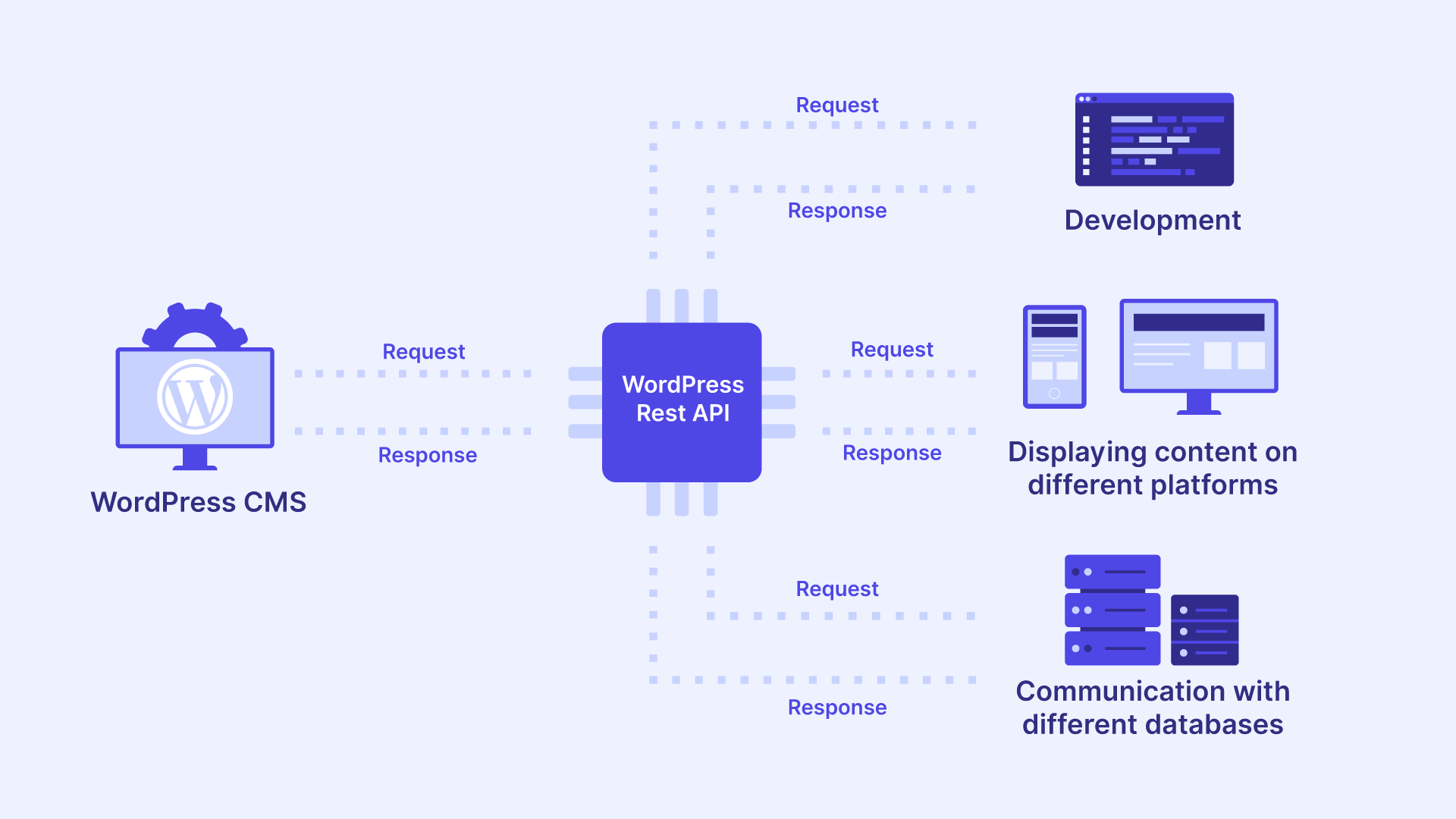 The Evolving WordPress Data Layer: Exploring the REST API and Beyond